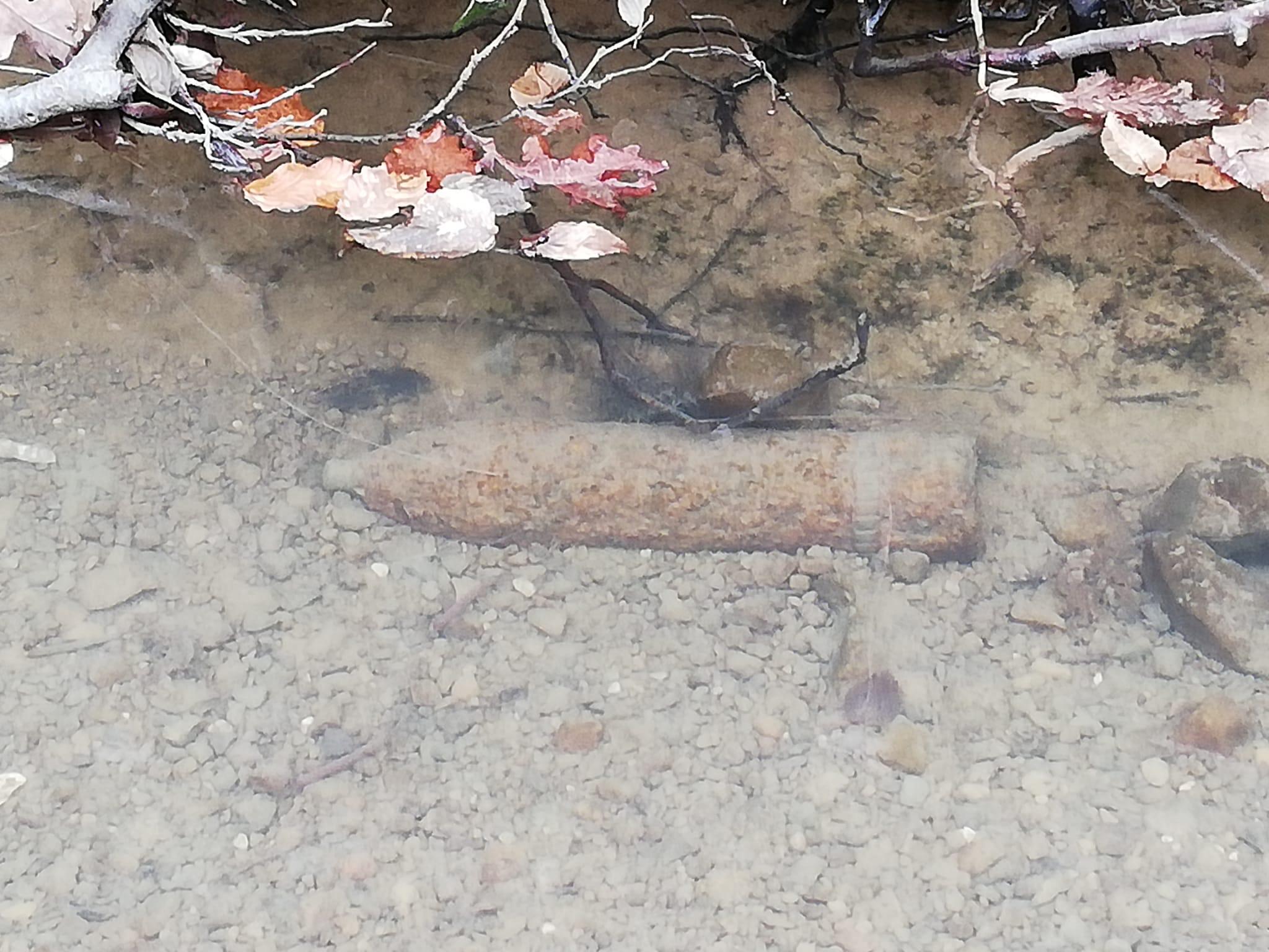 Passeggia nel bosco a Gorizia e scopre un colpo di cannone inesploso della Grande guerra